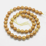 Natural Petrified Wood Beads Strands, Dyed, Faceted, Round, 14mm, Hole: 1mm, about 28pcs/strand, 15.75 inches(G-G542-14mm-06)
