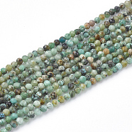 Natural African Turquoise(Jasper) Beads Strands, Faceted Round, 3mm, Hole: 0.5mm, about 138pcs/strand, 15.5 inch(X-G-T064-18-3mm)