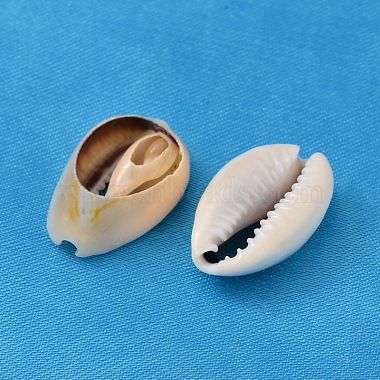 Natural Cowrie Shell Beads(BSHE-S052)-2