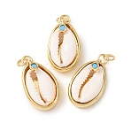 Natural Cowrie Shell Pendants, with Brass Pave Sky Blue Cubic Zirconia, Shell Shape Charms, Cadmium Free & Lead Free, Rack Plating, Long-Lasting Plated, with Jump Rings, Floral White, Real 18K Gold Plated, 24x13.5~14x9~10mm, Hole: 3mm(KK-C143-40B-G)