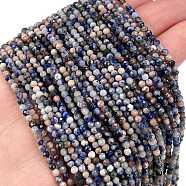 Natural Sodalite Beads Strands, Faceted, Round, 2~2.5x2mm, Hole: 0.6mm, about 156~157pcs/strand, 14.69~14.80''(37.3~37.6cm)(G-A097-A12-01)