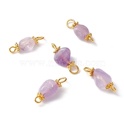 Natural Amethyst Links Connectors, with Alloy Beads & Brass Eye Pin, Golden, Nuggets, 17~18.5x6~8.5x4~6mm, Hole: 1.8~2.8mm(PALLOY-JF01091-03)