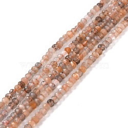 Natural Moonstone & Sunstone Beads Strands, Faceted, Round, 3mm, Hole: 0.6mm, about 162pcs/strand, 15.51''(39.4cm)(G-K315-B06)