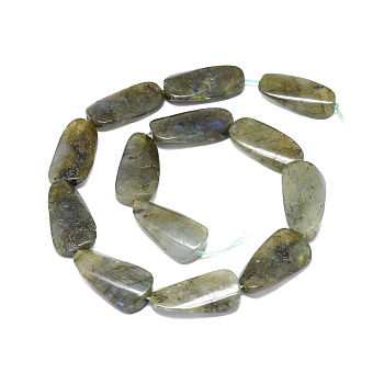 Natural Labradorite Beads Strands, teardrop, 29.5~30x15~15.5x6~8mm, Hole: 1.2mm, about 13pcs/strand, 15.2 inch(38.7cm)