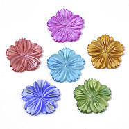 Natural Freshwater Shell Beads, Carved, Dyed, Flower, Mixed Color, 28x28x3mm, Hole: 1.6mm(X-SHEL-N026-10)
