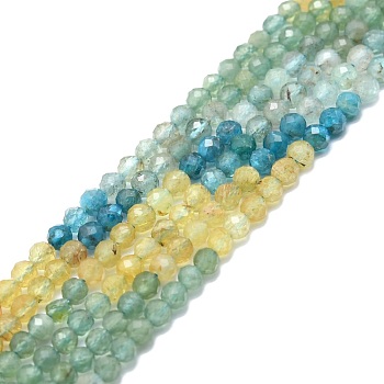 Natural Apatite Beads Strands, Faceted, Round, 2mm, Hole: 0.5mm, about 215pcs/strand, 15.16''~15.55''(38.5~39.5cm)