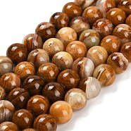 Natural Wood Lace Stone Beads Strands, Round, 10~10.5mm, Hole: 1mm, about 39~40pcs/strand, 15.43~15.91''(39.2~40.4cm)(G-B128-A04-04)