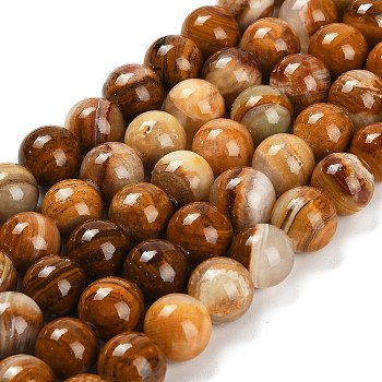 Natural Wood Lace Stone Beads Strands, Round, 10~10.5mm, Hole: 1mm, about 39~40pcs/strand, 15.43~15.91''(39.2~40.4cm)