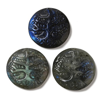 Natural Labradorite Pendants, Flat Round Charms with Engraved Tree of Life, 35~37x7.5~9.5mm, Hole: 1.5mm
