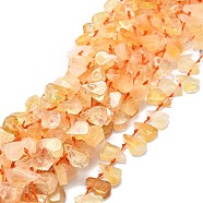 Grade A Natural Citrine Beads Strands, Waterdrop-Shaped Chip, 10~21x8~13x2.5~6mm, Hole: 1mm, about 34~38pcs/strand, 15.75''(40cm)(G-E576-20)
