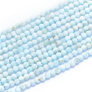 Natural Larimar Beads Strands, Faceted, Round, 2~2.5mm, Hole: 0.6mm, about 190pcs/strand, 15.35 inches(39cm)(G-I279-E03)