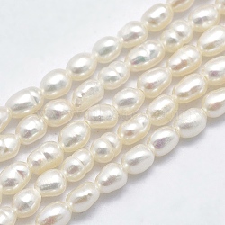 Natural Cultured Freshwater Pearl Beads Strands, Oval, Beige, 3.5~6x3~4.5mm, Hole: 0.8mm, about 68~70pcs/strand, 13.78~14.17 inch(35~36cm)(PEAR-F007-83)