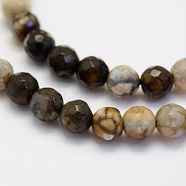 agate perles brins(G-G703-10mm-M)-4