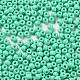 Baking Paint Glass Seed Beads(SEED-H002-I-A509)-3