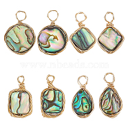 8Pcs 4 Styles Natural Abalone Shell/Paua Shell Pendants, with Eco-Friendly Copper Wire Wrapped, Teardrop & Flat Round & Rectangle & Square, Real 18K Gold Plated, 16~19x9.5~15x3~3.5mm, Hole: 1.6~3mm, 2pcs/style(FIND-AR0004-22)