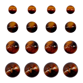 Natural Tiger Eye Cabochons, Half Round/Dome, 6mm/8mm/10mm/12mm, 40pcs/box