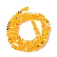 perles en verre transparentes brins(EGLA-P061-04B-AB09)-2