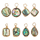 8Pcs 4 Styles Natural Abalone Shell/Paua Shell Pendants(FIND-AR0004-22)-1