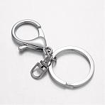 Alloy Split Key Rings, Keychain Clasp Findings, Platinum, 66mm(KK-M200-02P-NR)