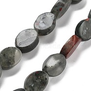 Natural Bloodstone Beads Strands, Oval, 14x10x5mm, Hole: 0.5mm, about 28pcs/strand, 15.55''(39.5cm)(G-P559-B17-01)