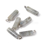 Natural Labradorite Pendants, with Platinum Tone Brass Findings, Column Charm, 27x8mm, Hole: 6x3.2mm(G-E135-02P-08)