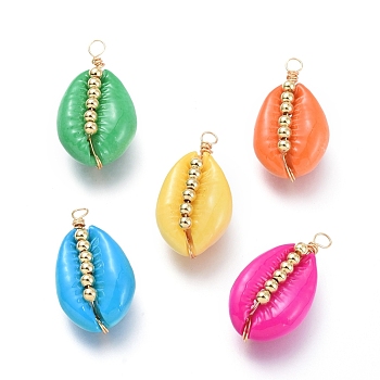 Spray Paint Cowrie Shell Pendants, with Brass Beads and Copper Wire, Golden, Mixed Color, 20~25x13~16x5~11mm,, Hole: 2.5mm