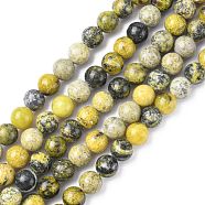 Gemstone Beads Strands, Natural Yellow Turquoise(Jasper), Round, about 8mm in diameter, hole: about 1mm, 15~16 inch(X-GSR007)