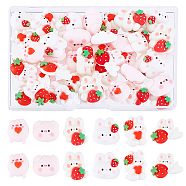 ARRICRAFT 48Pcs 6 Styles Opaque Resin Cabochons, Rabbit with Strawberry & Pig, Mixed Color, 17~23x17~26x7~8.5mm, 8pcs/style(CRES-AR0001-24)