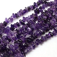 Natural Amethyst Chips Beads Strands, 8~14x4~8x3~6mm, Hole: 1mm, about 15~16 inch(X-G-P030-02)