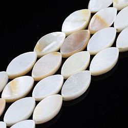 Natural Freshwater Shell Beads Strands, Horse Eye, Seashell Color, 10.5x5.5x2.5mm, Hole: 0.7mm, about 37pcs/strand, 15.43''(39.2cm)(SHEL-Q024A-017)