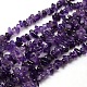 Natural Amethyst Chips Beads Strands(X-G-P030-02)-1