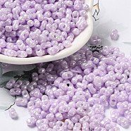 Glass Seed Beads, Peanut, Plum, 5.5~6x3~3.5x3mm, Hole: 1~1.2mm, about 4000pcs/pound(SEED-K009-02B-06)
