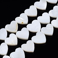 Natural Freshwater Shell Beads Strands, Heart, Creamy White, 12~13x12~14x3mm, Hole: 0.8mm, about 30pcs/strand, 14.96 inch~15.35 inch(38cm)(X-SHEL-N027-21)
