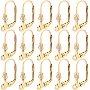 50Pcs Ion Plating(IP) 304 Stainless Steel Flower Leverback Earring Findings, with Horizontal Loops, Golden, 19x5x11mm, Hole: 1.5mm, Pin: 1x0.7mm(STAS-BBC0002-56)