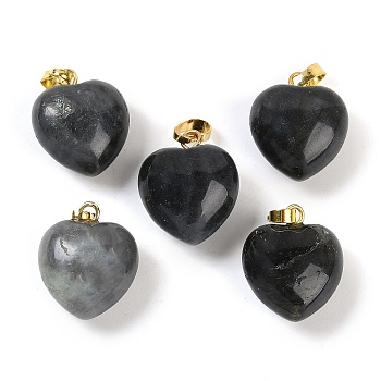 Natural Labradorite Pendants, Heart Charms with Brass Snap on Bails, Golden, 18x15.5x10mm, Hole: 5x3mm