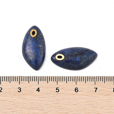 Natural Lapis Lazuli Pendants(STAS-P380-80G-01)-3