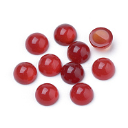 Natural Carnelian Cabochons, Half Round/Dome, 6x3~4mm(G-R416-6mm-56)