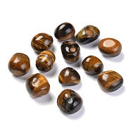 Natural Tiger Eye Beads, No Hole, Nuggets, Tumbled Stone, Healing Stones for 7 Chakras Balancing, Crystal Therapy, Meditation, Reiki, Vase Filler Gems, 14~26x13~21x12~18mm, about 120pcs/1000g(G-M368-04B)