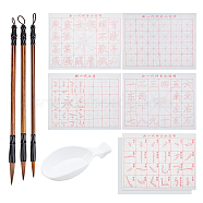 Writing Tool, with Gridded Magic Cloth Water-Writing, Spoon Shape Ink Tray Containers and Chinese Calligraphy Brushes Pen, White, 43x33x0.01cm(AJEW-PH0002-08)