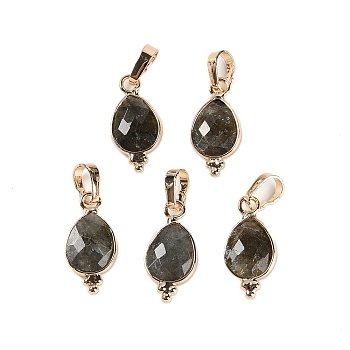 Natural Labradorite Faceted Pendans, Golden Plated Brass Teardrop Charms, 17.5x9x3.5mm, Hole: 6x3.5mm