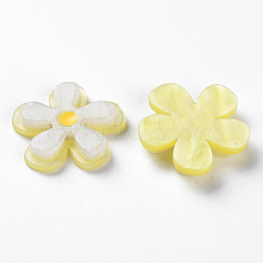 Cellulose Acetate(Resin) Cabochons(KY-N015-88A)-3