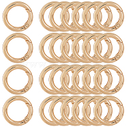 30Pcs Alloy Spring Gate Ring, O Rings, Light Gold, 7 Gauge, 24.5x3.5mm, Inner Diameter: 16.5mm(FIND-SP0001-48)