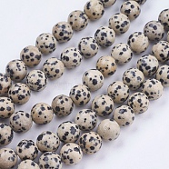 Natural Dalmatian Jasper Stone Bead Strands, Round, 10mm, Hole: 1mm, about 38pcs/strand, 14.9 inch(X-G-R193-14-10mm)