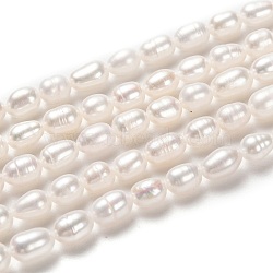 Natural Cultured Freshwater Pearl Beads Strands, Rice, Bisque, 6~9x4~5mm, Hole: 0.5mm, about 45pcs/strand, 14.37 inch(36.5cm)(PEAR-J005-62)