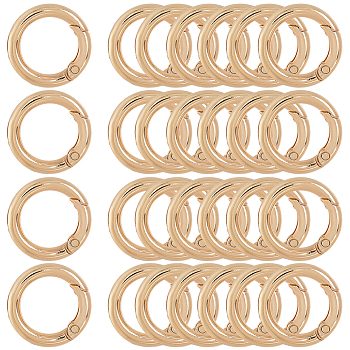 30Pcs Alloy Spring Gate Ring, O Rings, Light Gold, 7 Gauge, 24.5x3.5mm, Inner Diameter: 16.5mm