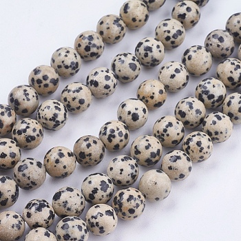 Natural Dalmatian Jasper Stone Bead Strands, Round, 10mm, Hole: 1mm, about 38pcs/strand, 14.9 inch