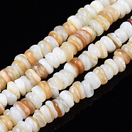 Natural Freshwater Shell Beads Strands, Dyed, Chip, White, 3~4x0.3~3mm, Hole: 0.6mm, about 220~225pcs/strand, 14.76 inch~15.16 inch(37.5cm~38.5cm)(SHEL-S278-067G)