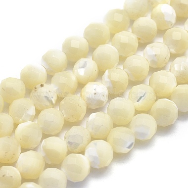 6mm Round White Shell Beads