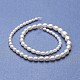 Natural Cultured Freshwater Pearl Graduated Beads Strands(PEAR-P060-05A-01)-2