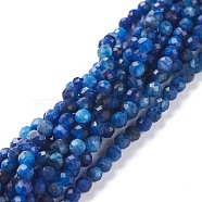 Natural Kyanite/Cyanite/Disthene Beads Strands, Round, Faceted, 4mm, Hole: 0.8mm, about 93pcs/strand, 15.55inch(39.5cm)(G-A026-A09-4mm)